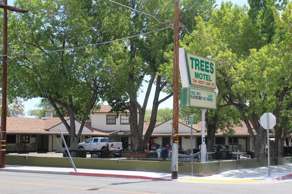 Trees Motel Бишоп Экстерьер фото