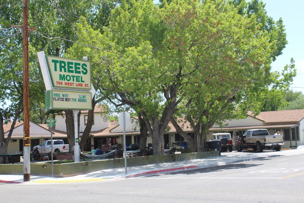 Trees Motel Бишоп Экстерьер фото