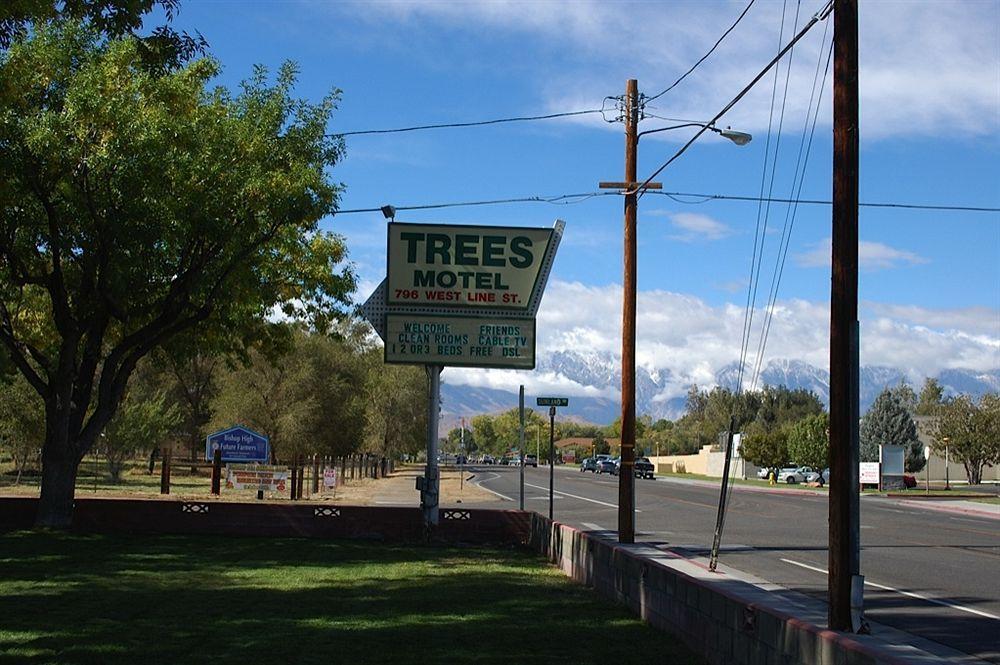 Trees Motel Бишоп Экстерьер фото